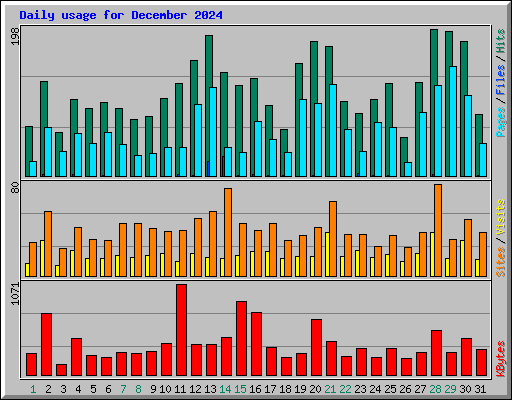 Daily usage for December 2024