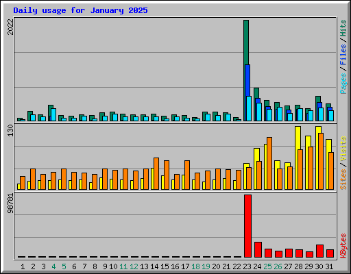 Daily usage for January 2025
