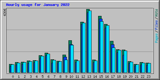 Hourly usage for January 2022