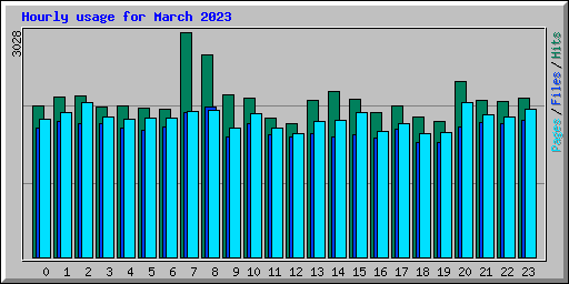 Hourly usage for March 2023