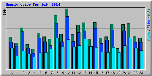Hourly usage for July 2024