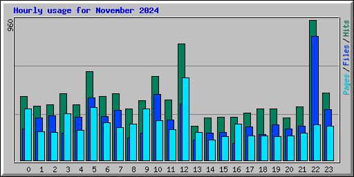 Hourly usage for November 2024