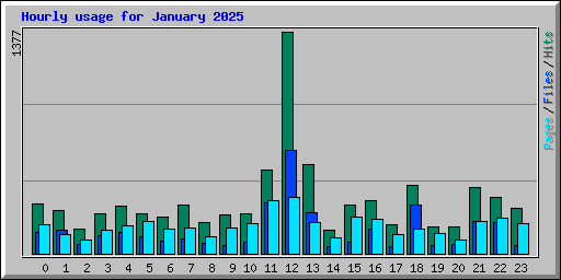 Hourly usage for January 2025