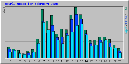 Hourly usage for February 2025