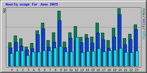 Hourly usage for June 2025